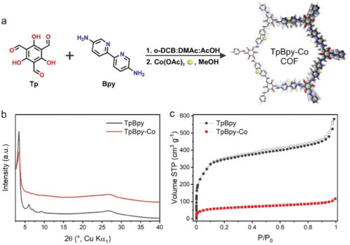 Shedding Light on the Active Species in a Cobalt-Based Covalent Organic Framework for the Electrochemical Oxygen Evolution Reaction