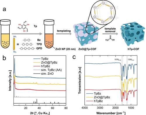 Solvothermal Template-Induced Hierarchical Porosity in Covalent Organic Frameworks: A Pathway to Enhanced Diffusivity