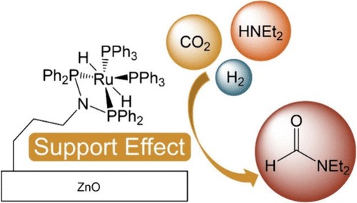 Using Support Effects to Increase the Productivity of Immobilized Ruthenium Hydride Catalysts for the Hydrogenation of CO2