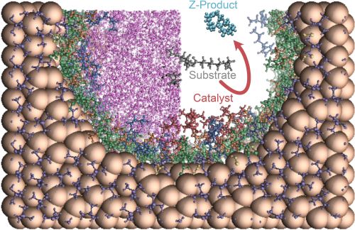 Influence of Ionic Liquid Film Thickness and Flow Rate on Macrocyclization Efficiency and Selectivity in Supported Ionic Liquid-Liquid Phase Catalysis